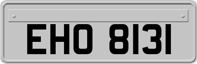 EHO8131