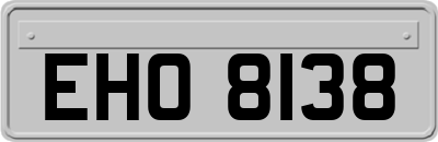 EHO8138