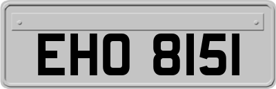 EHO8151