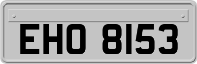 EHO8153
