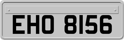 EHO8156