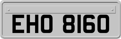 EHO8160