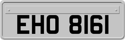 EHO8161