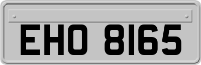 EHO8165