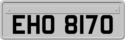 EHO8170