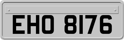EHO8176