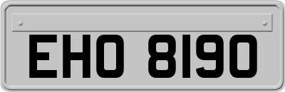 EHO8190