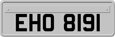 EHO8191