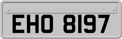 EHO8197