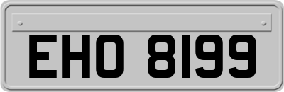 EHO8199