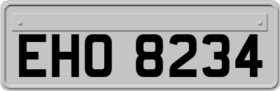 EHO8234