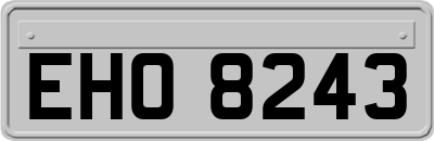 EHO8243