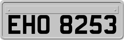 EHO8253