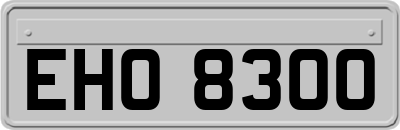 EHO8300