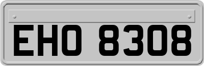 EHO8308