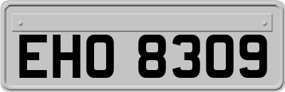 EHO8309