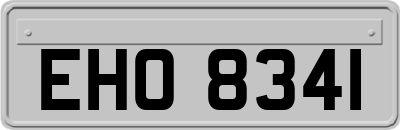 EHO8341