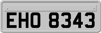EHO8343