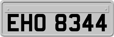 EHO8344