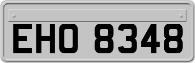 EHO8348