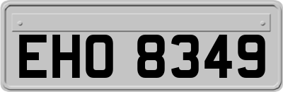 EHO8349