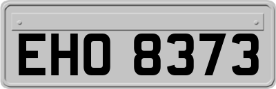 EHO8373