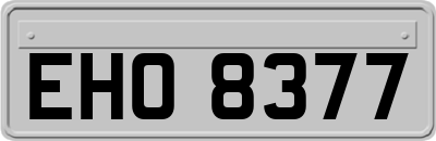 EHO8377