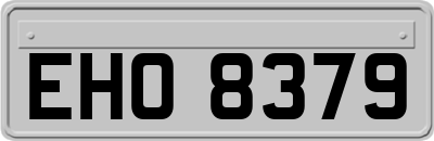 EHO8379