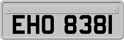 EHO8381