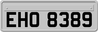 EHO8389