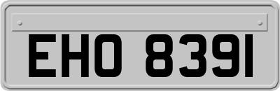 EHO8391