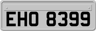 EHO8399