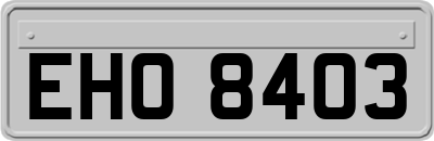 EHO8403