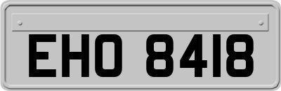 EHO8418