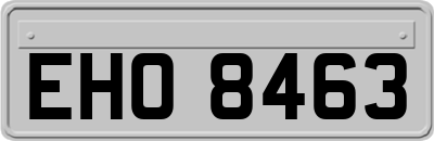 EHO8463