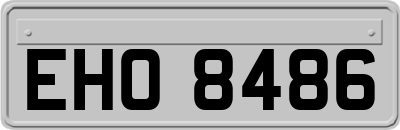 EHO8486