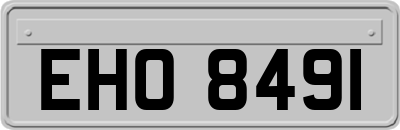 EHO8491
