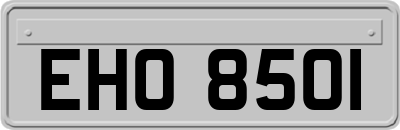 EHO8501