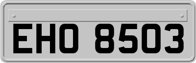 EHO8503