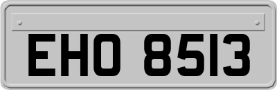 EHO8513