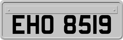 EHO8519