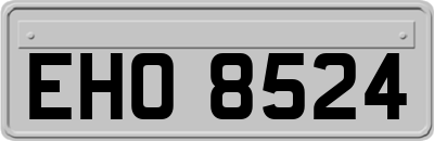 EHO8524