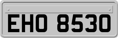 EHO8530