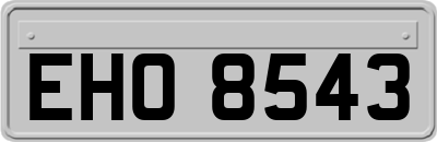 EHO8543
