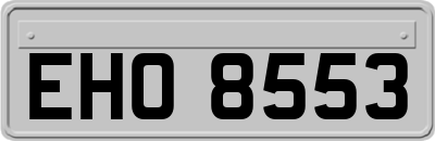 EHO8553