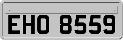 EHO8559