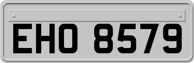 EHO8579