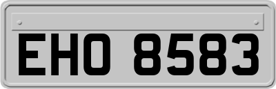 EHO8583