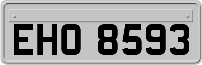 EHO8593