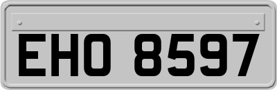 EHO8597